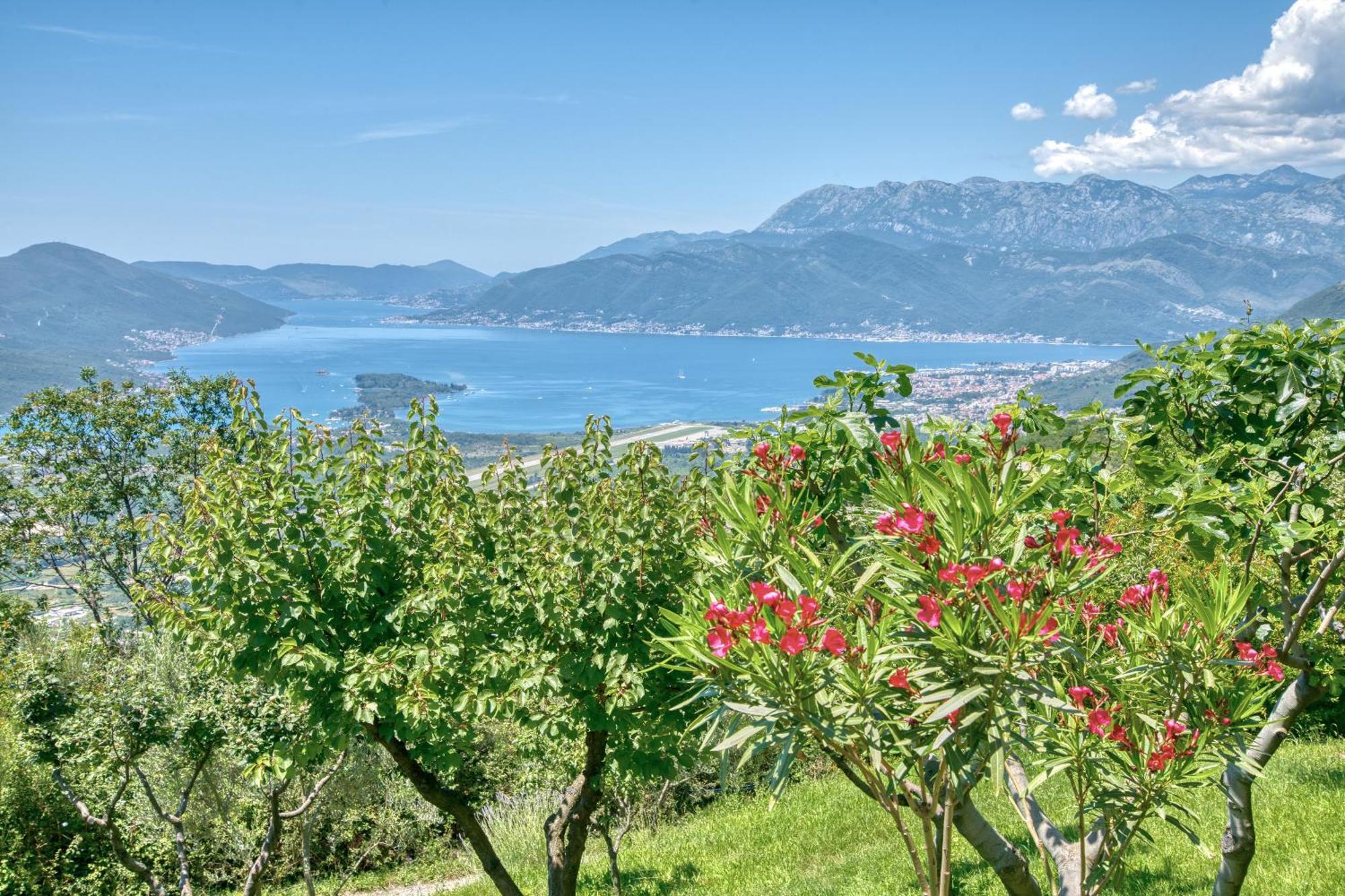 Paradise Kotor